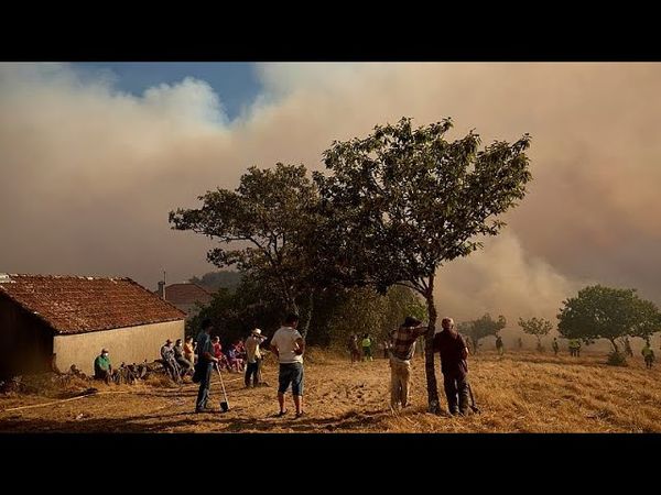 Spain reports nearly 400,000 hectares burned and 37 arrests due to fires