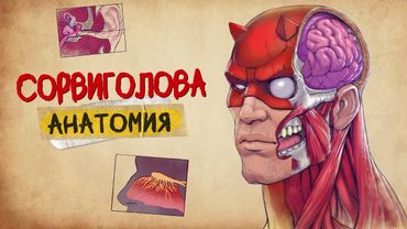 АНАТОМИЯ СОРВИГОЛОВЫ: Все подробности способностей