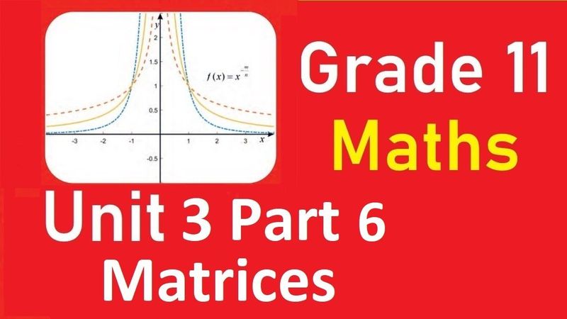 Grade 11 Math's Unit 3 Part 6 homogeneous system of linear equations, and inverse of square matrix