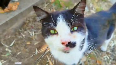 #Славянск. 2 октября 2025г. Вечер. Насыщенный день!