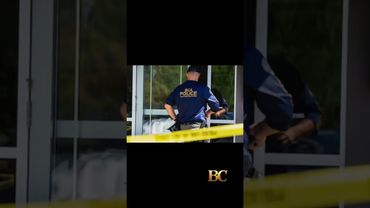 Minneapolis school attacker ‘obsessed with idea of killing children’, officials say