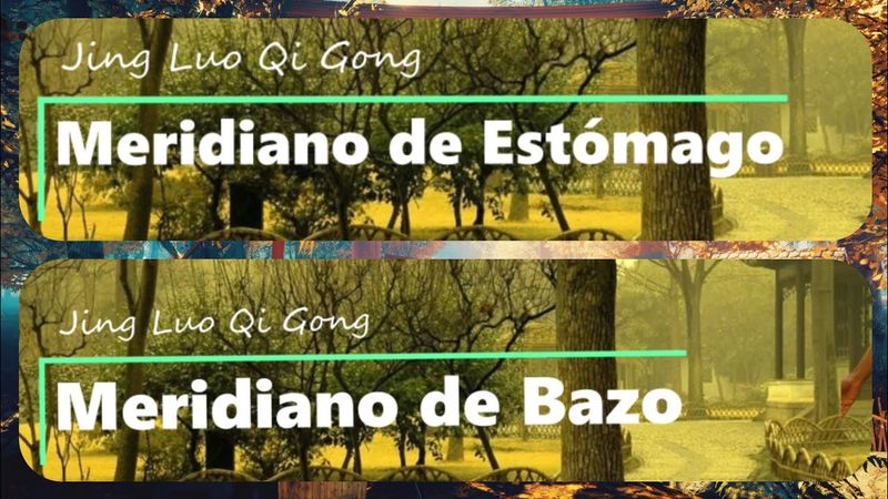 Qi Gong ☯️ CHI KUNG para la SALUD de Estiramiento de los MERIDIANOS, Jing Luo Qi Gong II.