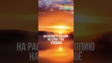 Совет дня: прими новый день