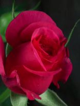 TikTok video #7032305214514334977