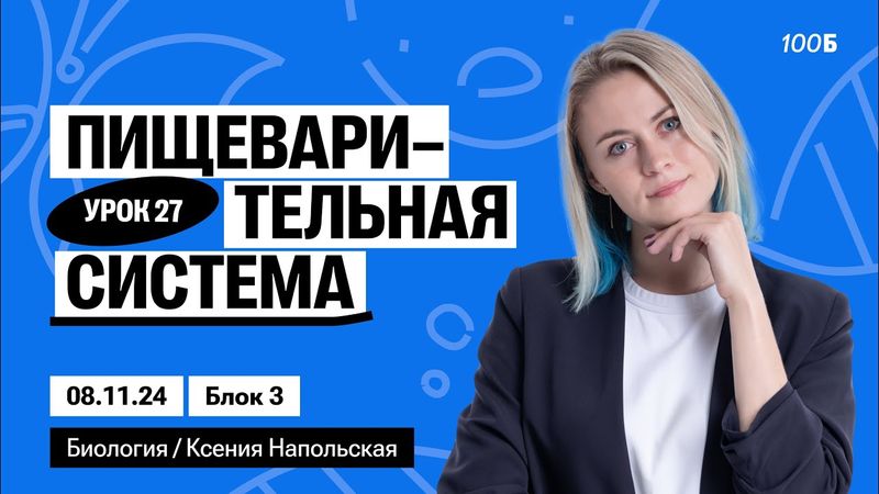 Пищеварительная система | Биофак 2025 | Урок 27