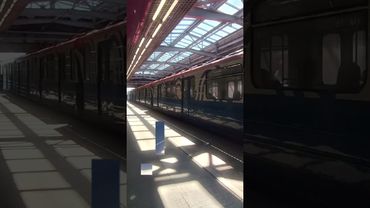 ЭДИТ 10!🎉 Эдит с поездом Номерной #shorts #рекомендации #эдит #номерной