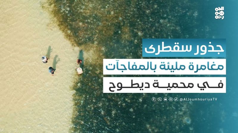 مغامرة مليئة بالمفاجآت في محمية ديطوح بسقطرى.. ملتقى البحر والسهل والجبل | ﺟﺬور ﻣﻦ ﺳﻘﻄﺮى