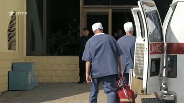 Пес 5 драка и прикол