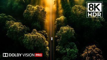 ULTIMATE  8K Nature Relaxation Experience | Dolby Vision™ HDR Ultra HD (60FPS)