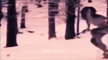 20 НЕИЗВЕСТНЫХ СУЩЕСТВ СНЯТЫХ НА КАМЕРУ