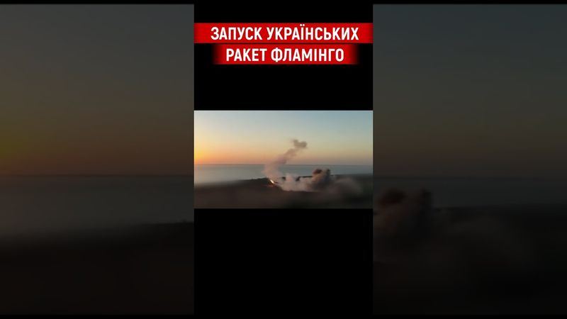 Відео запуску українських ракет "Фламінго"