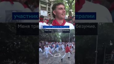 Смертельные забеги с быками в Испании #shorts