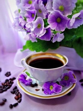 Доброе утро.Хорошего дня!#доброеутро#любимая#хорошегодня