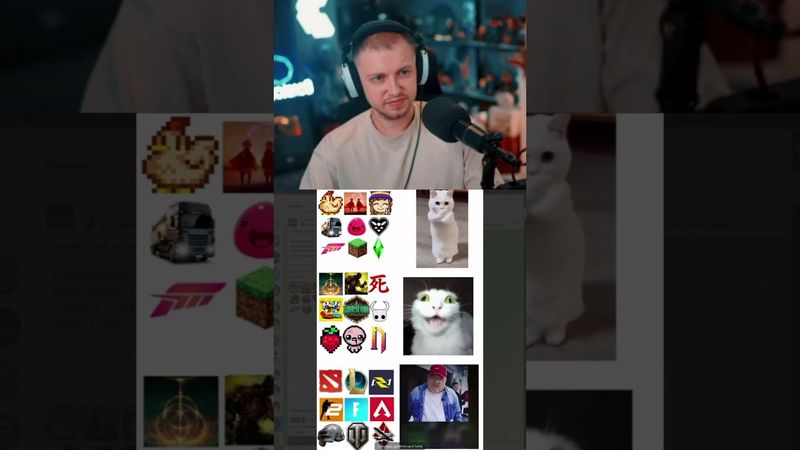 типы геймеров #стинт #stint #stintik #прикол #реакция