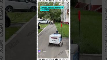 Очаровательные малыши Москвы 😍🐾 Бесконечный источник умиления