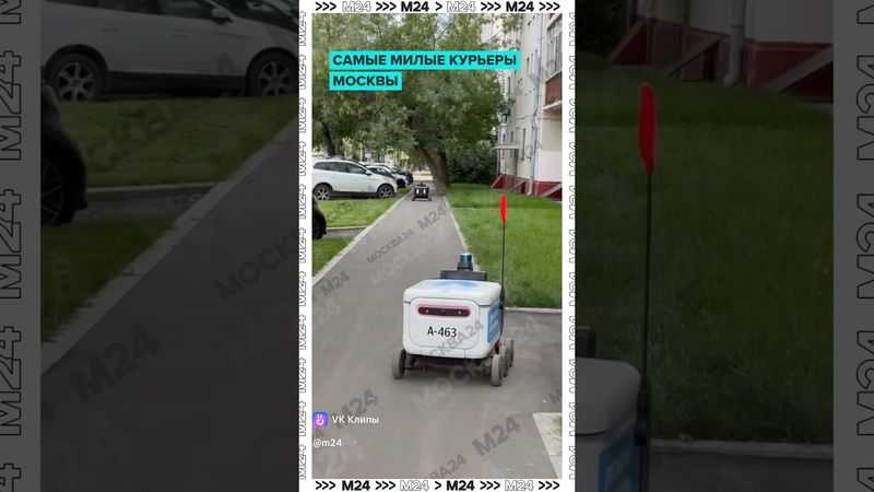 Очаровательные малыши Москвы 😍🐾 Бесконечный источник умиления