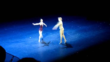 Мария Александрова, Михаил Лобухин, Собор Парижской Богоматери (отрывок)