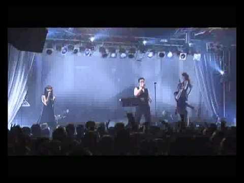 The Oxidising Angel (feat. Sonja-Cam)