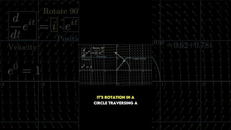 The dynamics of e^(πi)