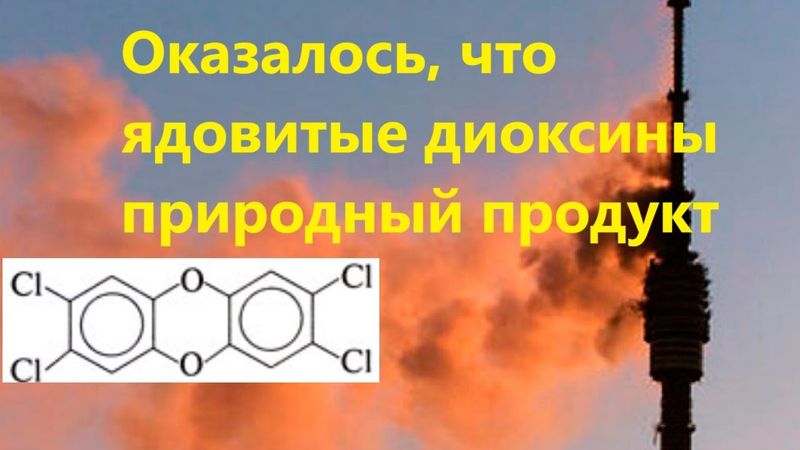 Оказалось, что ядовитые диоксины природный продукт