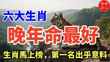 晚年命最好的生肖，生肖馬上榜，第一名出乎意料！#生肖 #財運 #運勢 #屬相 #風水 #命理