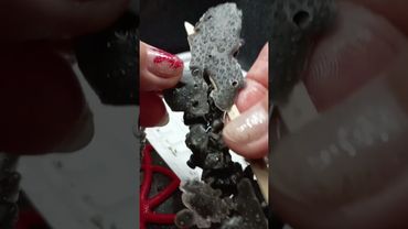 Ночные/ утренние работы. Снимаем