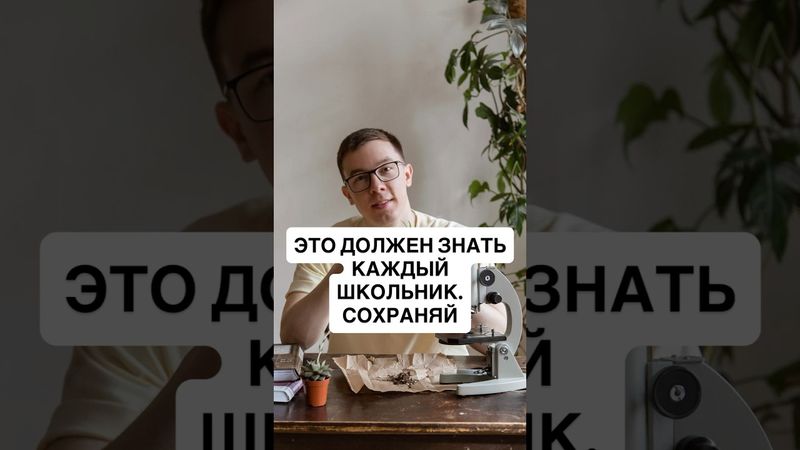 Запомни это и станешь отличником. 🔥