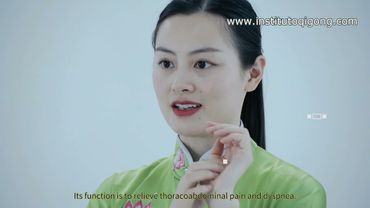 health qigong wuqinxi lección 1