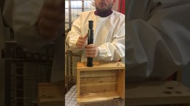 Станер - пистолет для забоя КРС