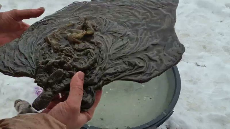 Святочные чистки в праздник  на КРЕЩЕНИЕ ГОСПОДНЕЕ!!!💦❤️‍🔥💥💯