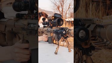 M110 SASS(SR25) 7.62mm?