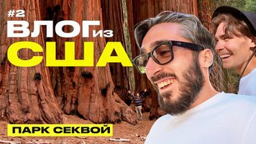 ВЛОГ ИЗ США #2 | Гигантские деревья Америки и грязь Голливуда