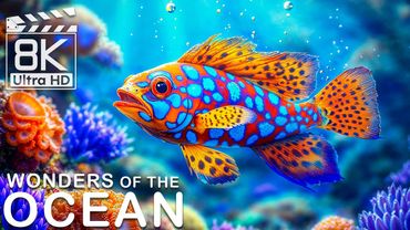 Ocean Wonders 8K 🌊 Vibrant Coral Reefs & Exotic Sea Creatures for Ultimate Relaxation