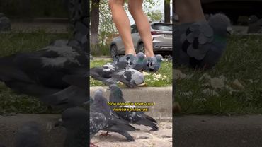 Курлык курлык🐦 сама себе завидую, что такие туфли теперь у меня есть🤌🏼