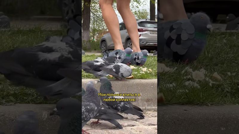 Курлык курлык🐦 сама себе завидую, что такие туфли теперь у меня есть🤌🏼