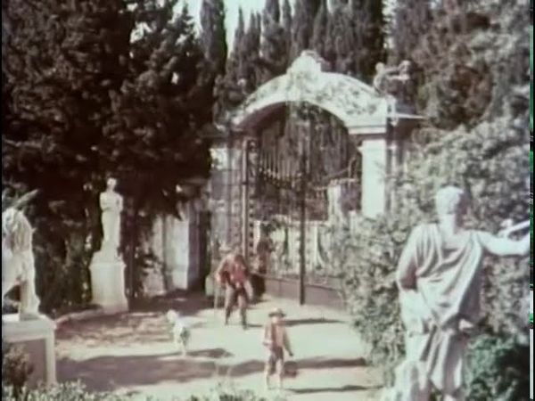 Белый пудель (1955)