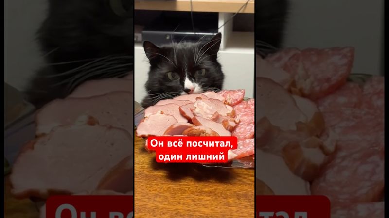 Он всё посчитал, один лишний