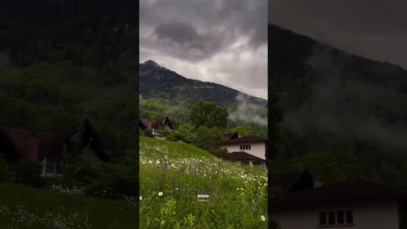 ليتني في سرب الحمامي..💮🤍اجمل انشوده 🕊️ذكريات الطفولة 🕊️