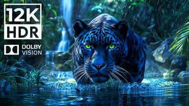 WONDERFUL WILDLIFE SIGHTING 4K HDR | with Cinematic Sounds (Colorful Animal Life)