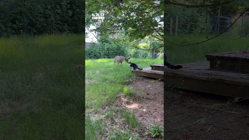 The most unexpected duo 😲 (🎥: Collab)