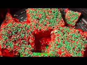 Red & Green Pasted Freshies