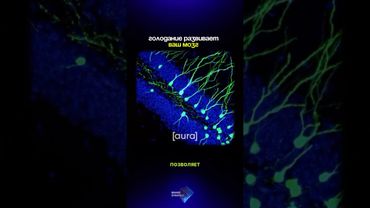 Как голод включает суперсилу в теле и мозге. #голодание #мышление #развитие #здоровье #наука #жизнь