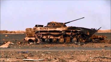 Россия беззубая