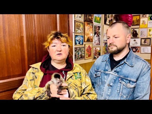 В парке УКРАЛИ ЛЮБИМОГО ПИТОМЦА! Верните пожалуйста!