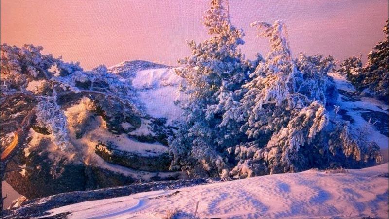 Добрый вечер из зимнего Крыма:)