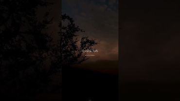 Heart Touching Beautiful Quran Recitation By Abdul Rahman Mossad