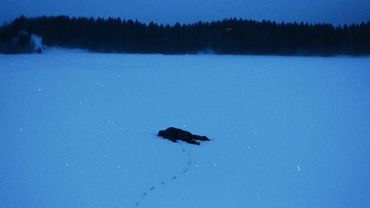 play this as soon as 2026 begins...