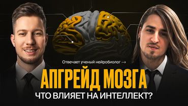 Как не отупеть от жизни / Привычки, которые работают. Отвечает нейробиолог @dysphorra
