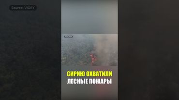 Сирийская провинция Латакия окутана дымом из-за лесных пожаров