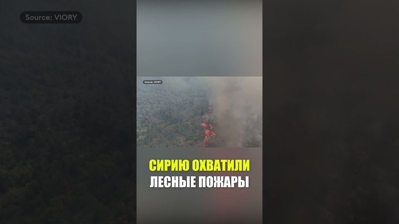 Сирийская провинция Латакия окутана дымом из-за лесных пожаров